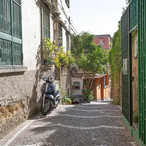 Pontecorvo 29 Napoli