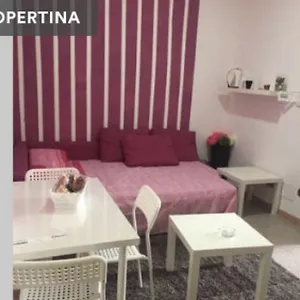 דירה Pink House