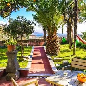 Lemon Tree House Apartment