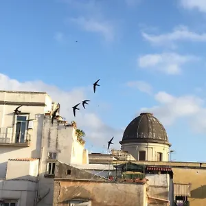 Le Rondini Della Pietrasanta * Napoli